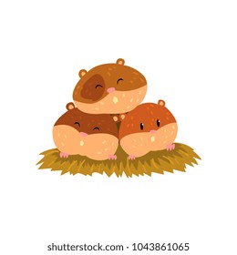 Cute cartoon hamster characters sleeping, funny brown rodent animal pet vector Illustration on a white background