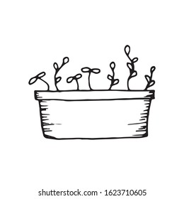 Cute cartoon hand drawn vector doodle illustration. Black outlines Isolated on white background. Decorative poted plants. Cute decorative elements for seasonal design, printed materials.
