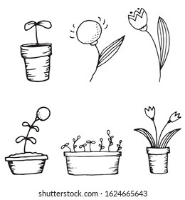 Cute cartoon hand drawn vector doodle illustration. Black outlines Isolated on white. Set of decorative flower leaf elements. Cute decorative elements for seasonal design, printed materials.