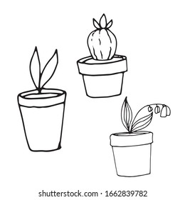 Dibujo de dibujos animados a mano conjunto de doodle vectorial de plantas macetas decorativas. Bordes negros aislados en blanco. Elementos decorativos para el diseño estacional, materiales impresos.