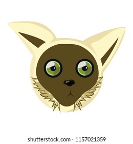  cute cartoon head of ring-tailed lemur vector illustration