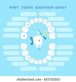 cute cartoon healthy baby tooth eruption chart