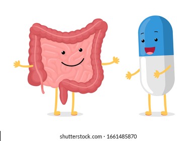 Cute cartoon healthy intestine and smiley medicament pill character. Abdominal cavity digestive and excretion human internal organ with probiotic or antibiotic capsule. Vector drug illustration