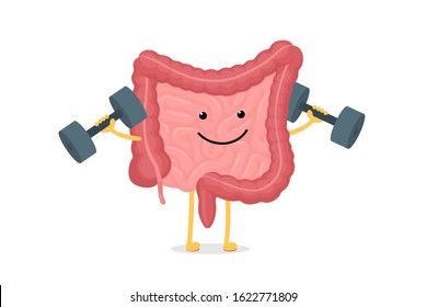 Cute Cartoon Healthy Intestines Character With Dumbbells. Abdominal Cavity Digestive And Excretion Human Internal Organ. Small And Colon Intestine With Duodenum Rectum And Appendix Vector Illustration