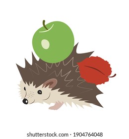 Cute cartoon hedgehog with a green apple and a red leaf on the back. Hand-drawn vector, flat style. Forest animals, autumn time. Design element for children's manuals, illustrations, printing,  web.