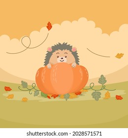 cute cartoon hedgehog with pumpkin
