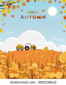 Dibujo lindo Hola Bosque de otoño con luz brillante en los días soleados, Mid Otoño Campo de granja de paisaje de la cosecha, tractor, pajar, hojas de colinas y arce cayendo con follaje amarillo, fondo de temporada de otoño