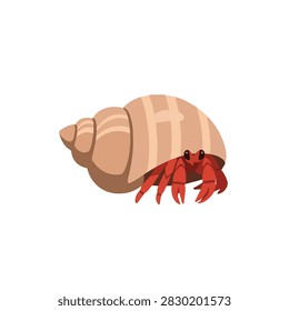 Cute Cartoon Hermit Crab