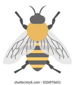 
A cute cartoon honey bee, flat design icon
