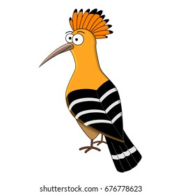 Cute cartoon hoopoe. Vector illustration. Smiling hoopoe. Exotic  bird. Isolated on white