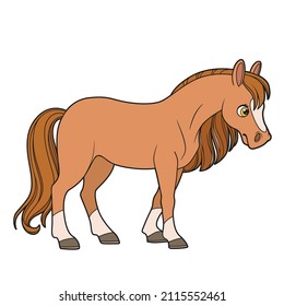 Cute cartoon horse color variation isolated on white background
