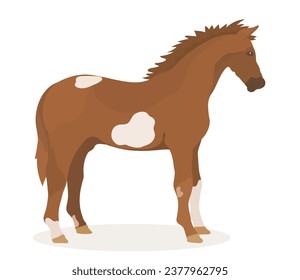 Cuta caricatura: Caballo. Ilustración de animales divertidos vectores.