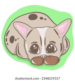 Cute - Cartoon - Illustration