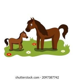 Cute cartoon illustration of mom and kids, farm animal horse and foal. Vector isolated on a white background.