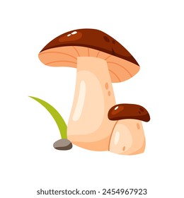 Cute cartoon illustration of a mushroom isolated on a white background