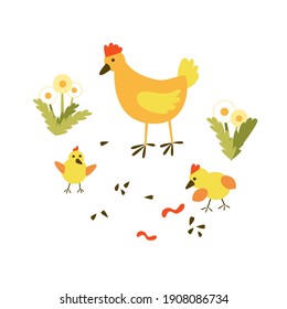 Cute cartoon illustration with poultry family - a mother hen and two little funny chicks in a farm meadow with dandelions, beans and worms. Vector illustration isolated on white background