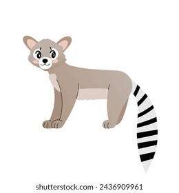 Cute cartoon illustration of ringtail cat. American endemic animal