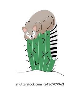 Cute cartoon illustration of ringtail cat on sleeping on cactus. American endemic animal