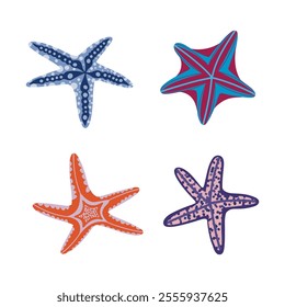 cute cartoon illustration of starfish in flat colors