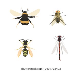 Cute cartoon insect collection. Vector illustrations of bumblebee, fly, wasp and dragonfly on white background. Set of fly insect clip.