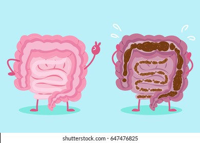 Cute Cartoon Intestine With Health Concept On Green Background