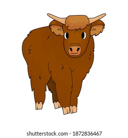 Cute Cartoon isolated small Bull highland cow is standing on the ground on white background