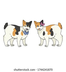 Dibujo animado japonés niño Bobtail y chica gato vector clipart. Raza de gatito pedigrí para los amantes de los gatos. Sexo de gatito de calico de Purebred para salón de mascotas con arco. Ilustración de la línea recta EPS 10.