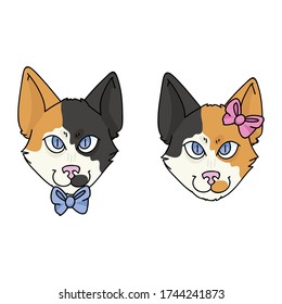 Cute cartoon Japanese Bobtail boy and girl cat face vector clipart. Pedigree kitty breed for cat lovers. Purebred calico kitten gender for pet parlor with bow. Feline illustration EPS 10.