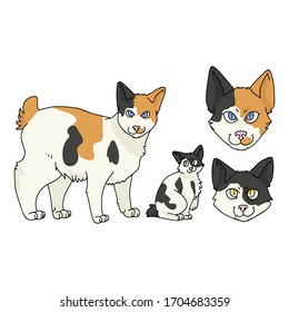 Caricatura tierna Pieza vectorial del gato Bobtail japonés y del gatito. Cría de gatitos pedigrí para los amantes de los gatos. Gatito doméstico de calico purebred para mascota de ilustración de salón de mascota. Housecat felino aislado. 