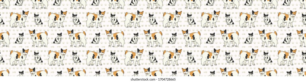 Dibujo tierno de un gato petino japonés y un patrón de frontera sin fisuras. Niños de raza gatita de origen doméstico. El amante del gato calico purebred washi ribbon. Guarnecido EPS 10 felino. 