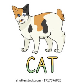 Caricatura ligera de gato Bobtail japonés con clípart vector de texto. Cría de gatitos pedigrí para los amantes de los gatos. Gatito doméstico de calico purebred para mascota de ilustración de salón de mascota. Housecat felino aislado. EPS 10.