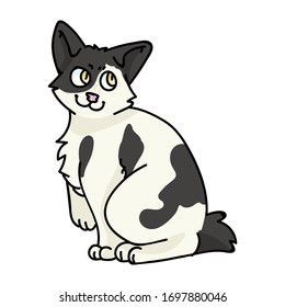 Cute cartoon Japanese Bobtail kitten vector clipart. Pedigree kitty breed for cat lovers. Purebred calico domestic cat for pet parlor illustration mascot. Isolated feline housecat. EPS 10.