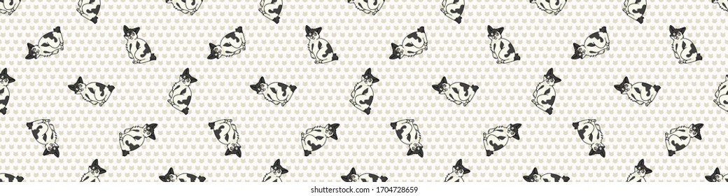 Caricatura tierno, el gatito japonés de bobtail se maneja sin fisuras en el patrón de frontera. Niños de raza gatita de origen doméstico. El amante del gato calico purebred washi ribbon. Guarnecido EPS 10 felino. 