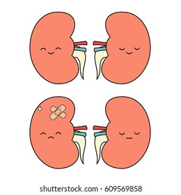 cute cartoon kidney vector illustration isolated on white background