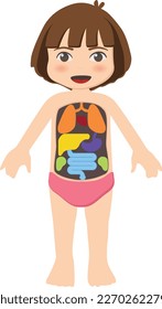 cute cartoon kids body anatomy for education and biology