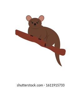 Cute cartoon kinkajou. Jungle animals. Vector illustration.