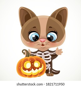 Cute cartoon kitten in Halloween skeleton costume with pumpkin lantern isolated on a white background