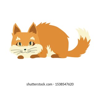 Cute cartoon kittie or cat with colored fur vector illustrations.