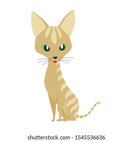 Cute cartoon kittie or cat with colored fur vector illustrations.