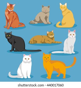 Cute cartoon kitties or cats vector set. Set of cats and cartoon illustration of domestic cat