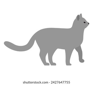 Lindo gatito de dibujos animados con pelaje gris de pie vista lateral. Gato de pelo corto gatito casero, animal doméstico con bigote y cola. Amigo mascota esponjosa, compañero humano con cuello. Concepto de cuidado de los animales