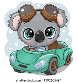 Cute Cartoon Koala boy in glasses goes on a Green car