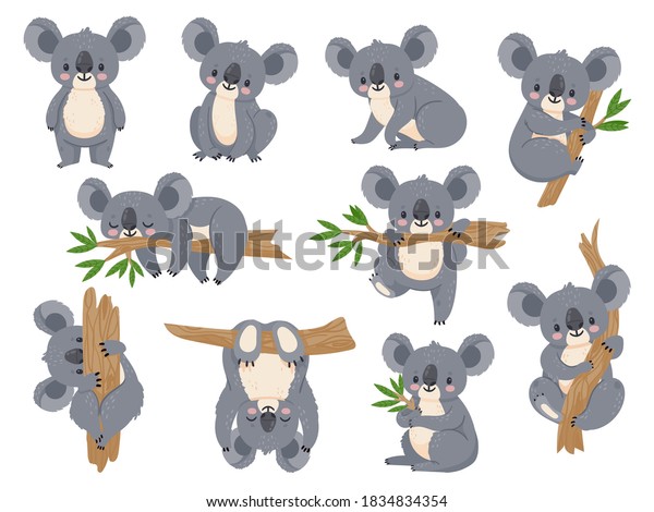 Cute cartoon koala. Lazy koalas with eucalyptus.\
Little funny rainforest animals. Australian bear sleeping on\
tropical tree vector set. Lazy koala cute and tree eucalyptus,\
character cartoon\
wildlife