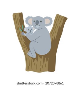 Cute Cartoon koala mit kleinen Baby sitzend auf Eukalyptus Baum. Illustration einzeln auf weißem Hintergrund.