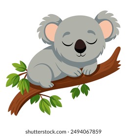 Cute cartoon koala sleeping on a tree branch isolated on white background. Koala lying on the tree. Side view. Vector illustration.