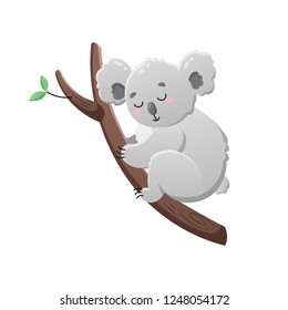Cute cartoon koala. Vector isolated illustration on white background. Koala on tree among the branches. Template for design, print.