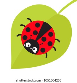 Cute cartoon lady bug sitting on green leaf. Cute icon. Cartoon funny character. Smiling face. White background. Isolated. Baby illustration. Flat design. Vector illustration