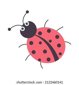 Cute cartoon ladybug. Beetle with polka dots. Funny little ladybird. Vector illustration. 