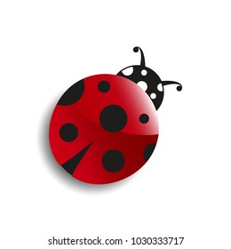 Cute cartoon ladybug. Lucky Symbol. Good luck. Spring, summer, bug, red, object garden insect black dot Vector eps10 illustration