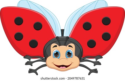 cute cartoon ladybug on white background